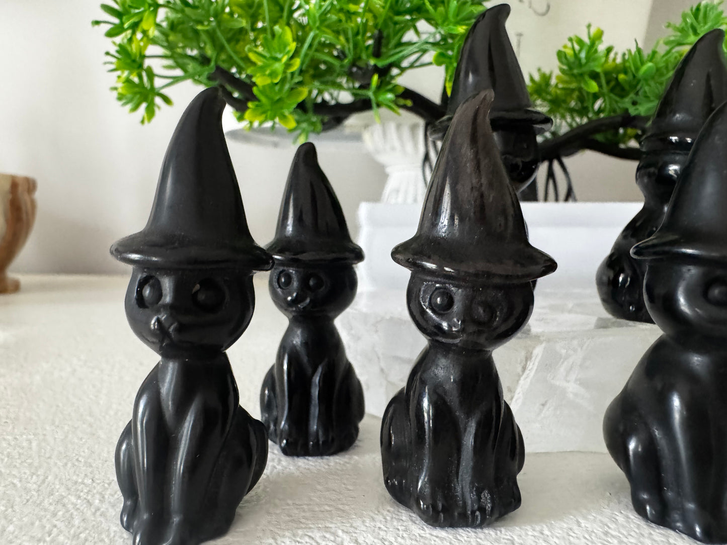 Group of black cat figurines wearing pointed witch hats, displayed on a white textured surface, with a green plant in the background.