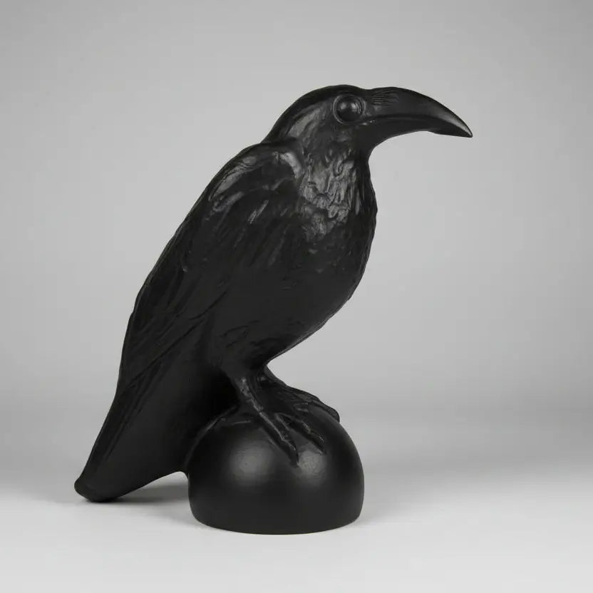Black obsidian raven photo not enhanced