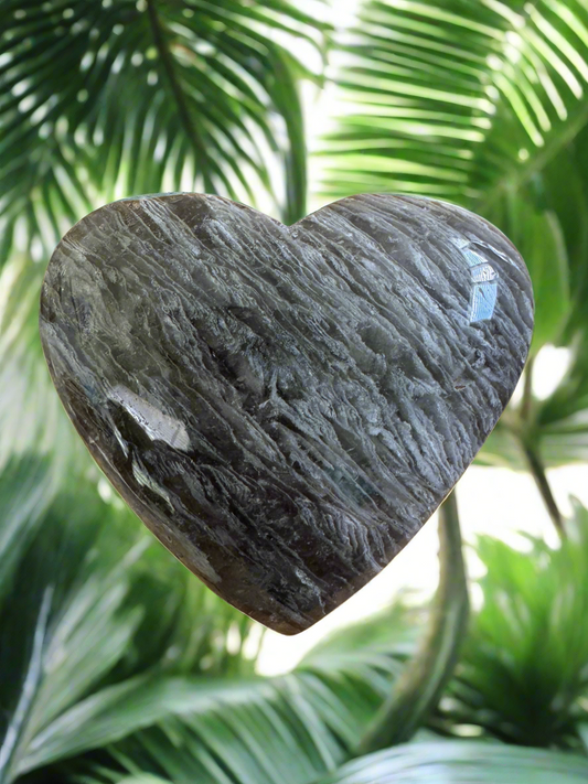 Black heart-shaped polished stone with texture and light reflections against a green, leafy background.