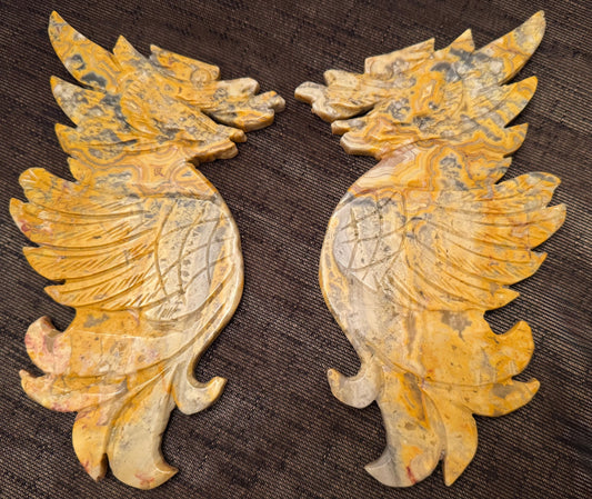 Crazy Lace Agate Dragon Wings - Main Street Crystals & Minerals