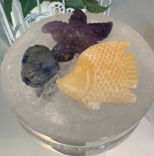 Clear Quartz Bowl with Starfish - Main Street Crystals & Minerals