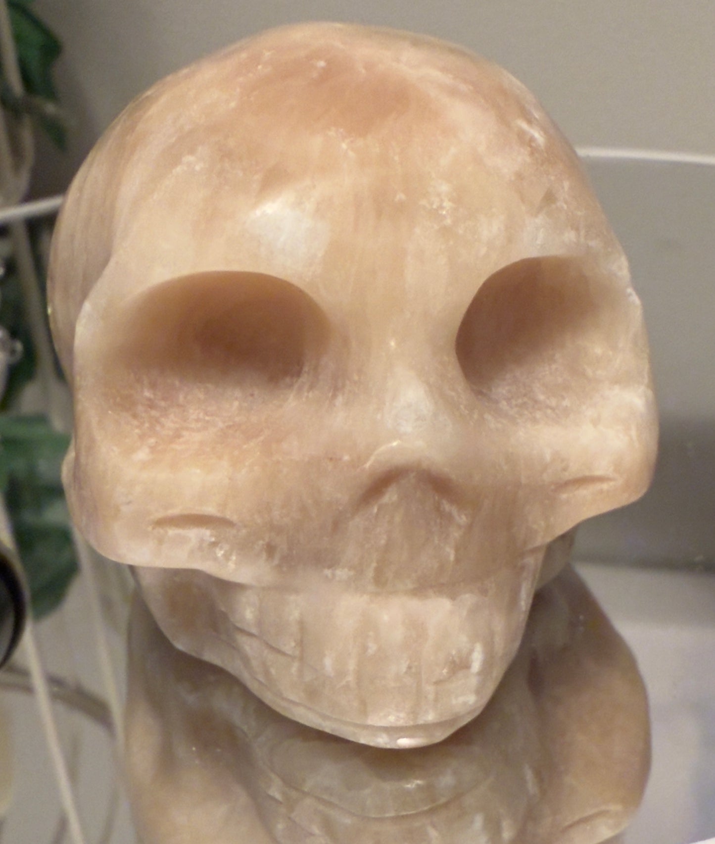 Stone skull with reflection.