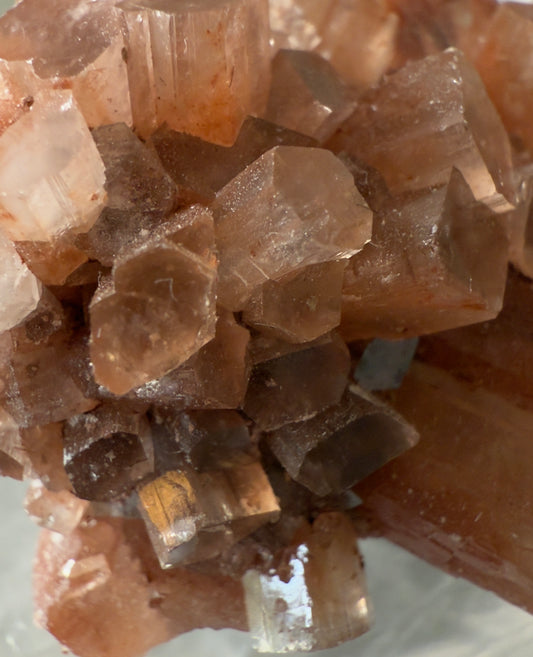 Close-up of light brown, cube-shaped crystal formations.
