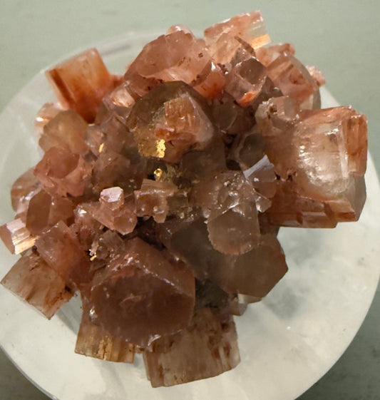 Aragonite Cluster 17650 - close up of dark orange and colors of iron details crystal cluster with Flos Ferri Main Street Crystals & Minerals