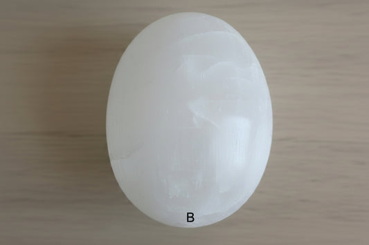 Selenite Palmstone with muted background. Marked as specimen B