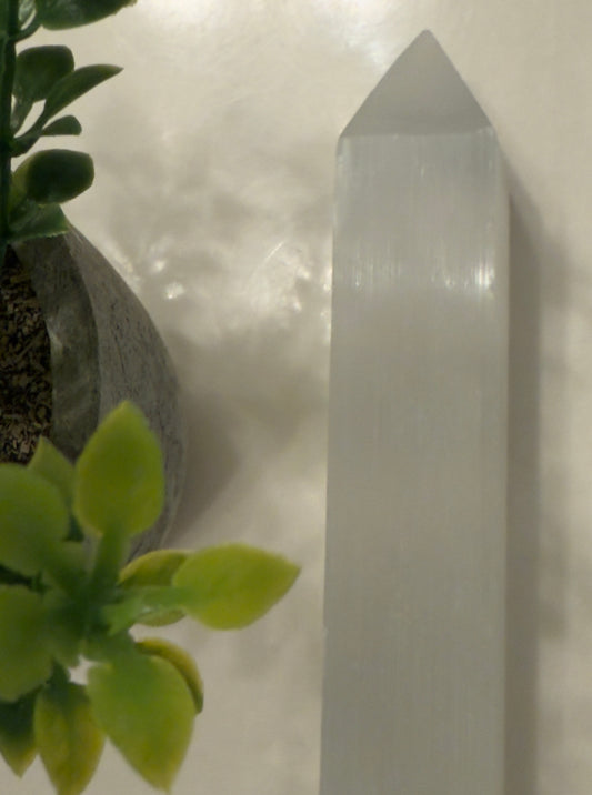 IMG-3499 - Main Street Crystals & Minerals