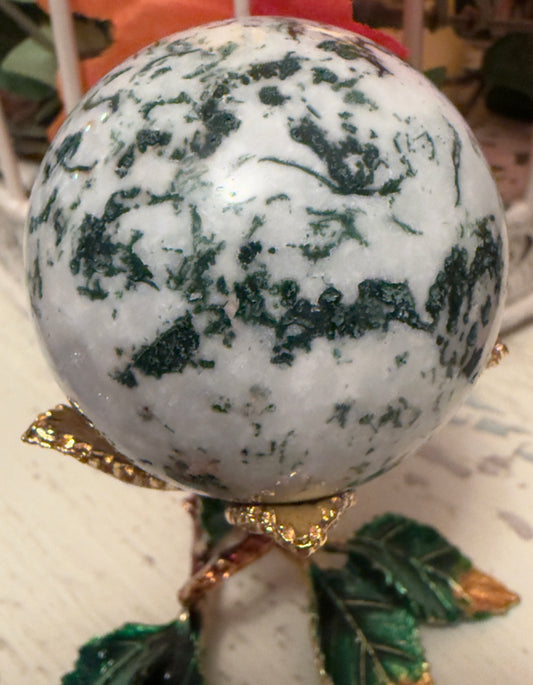 IMG-4221 - Main Street Crystals & Minerals