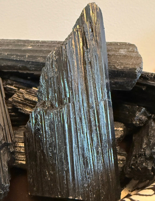 Black Tourmaline Raw Specimens - Main Street Crystals & Minerals