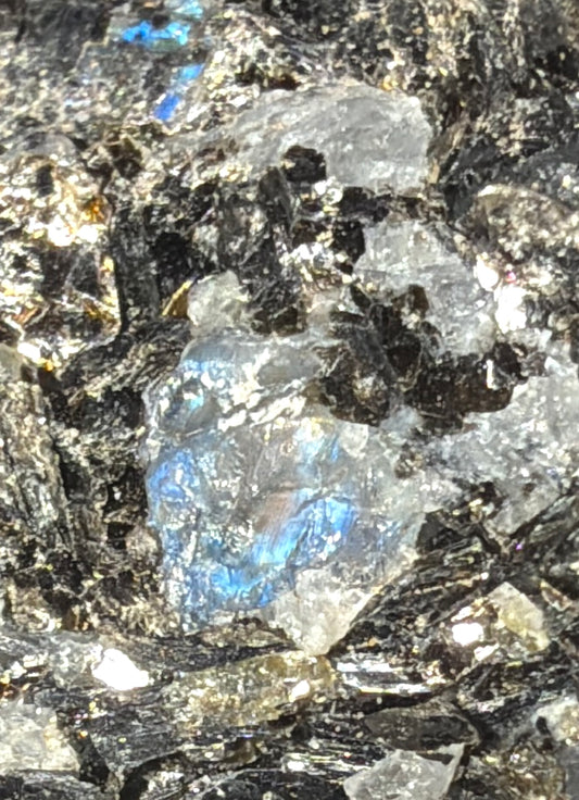 Rainbow Moonstone with Black Tourmaline and Blue Tourmaline Inclusions