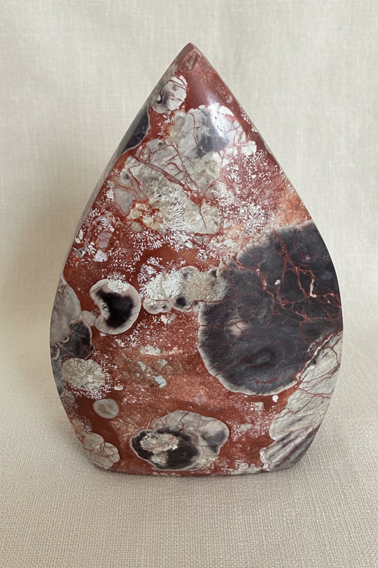 Brecciated Jasper Free Form Vivid red, oranges and black background birdcage with green leaves on a wooden desk