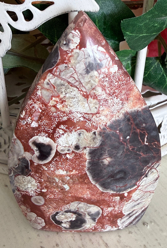 Brecciated Jasper Free Form Vivid red, oranges and black background birdcage with green leaves on a wooden desk
