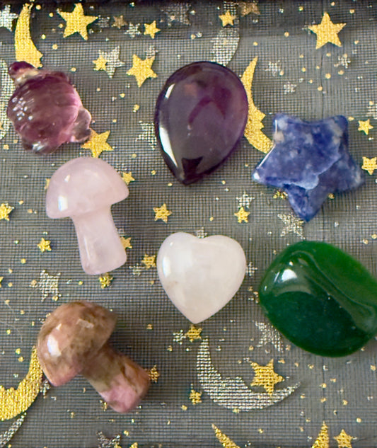 Thank you for supporting the National MS Society and Jill