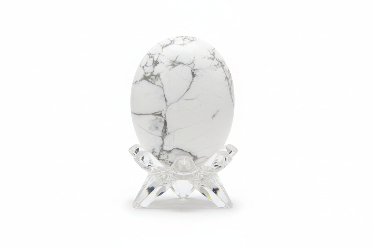 Howlite gray and white palm stone oval shaped in a glass stand white background