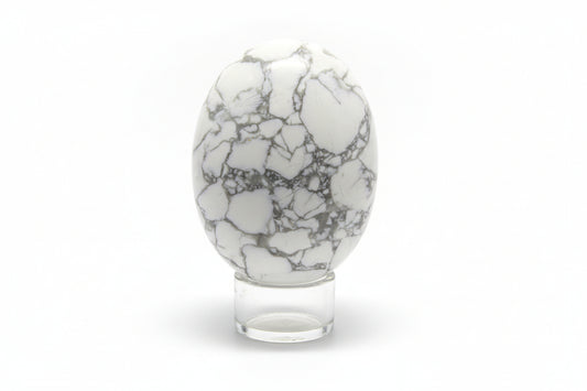 gray and white howlite mineral oval shaped rock in a glass stand, white background