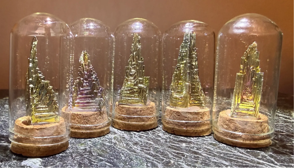 product photo close up of mini cloche with bismuth specimens. line of five