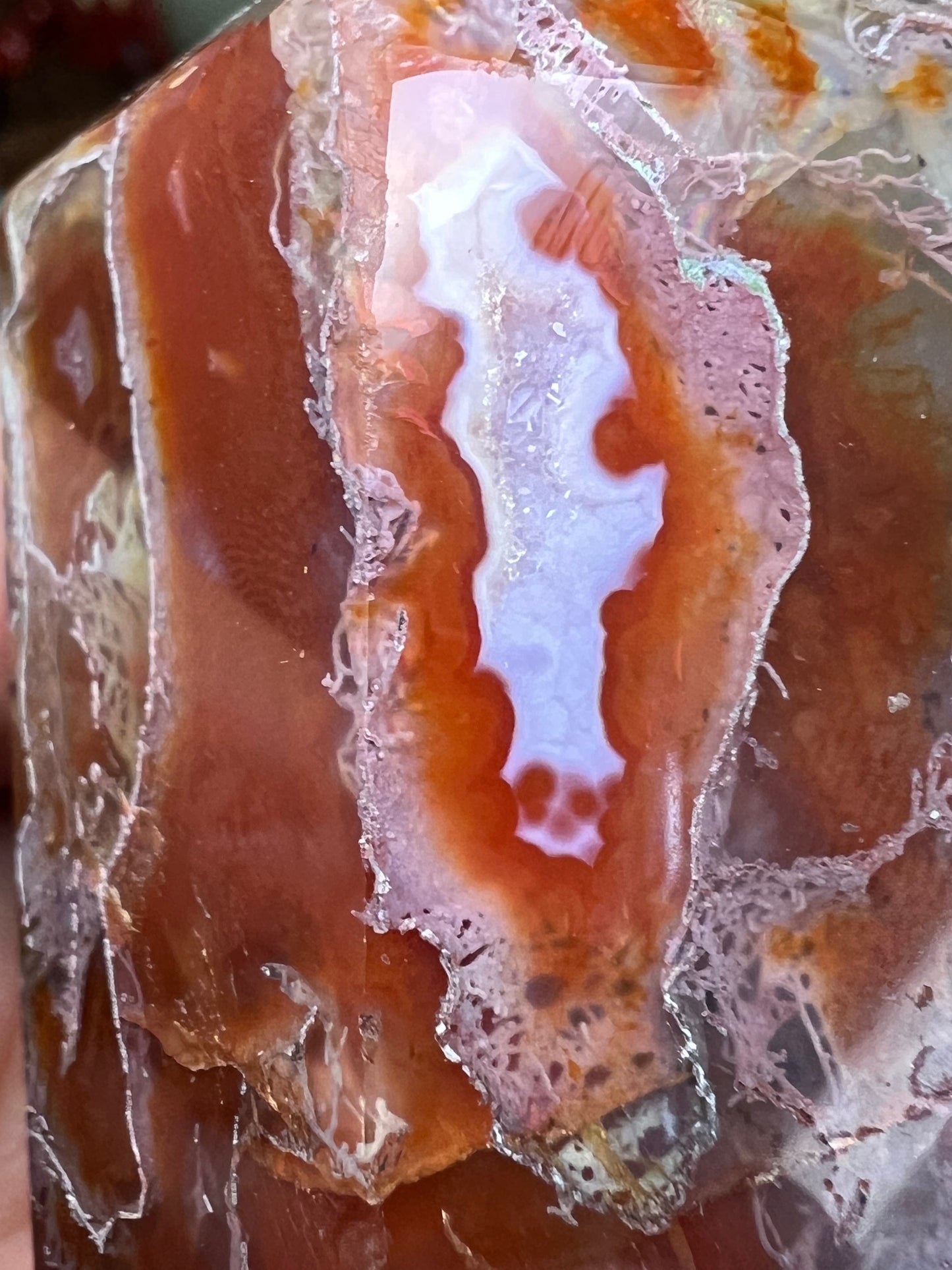 Alice in Wonderland Red Agate Set - Main Street Crystals & Minerals