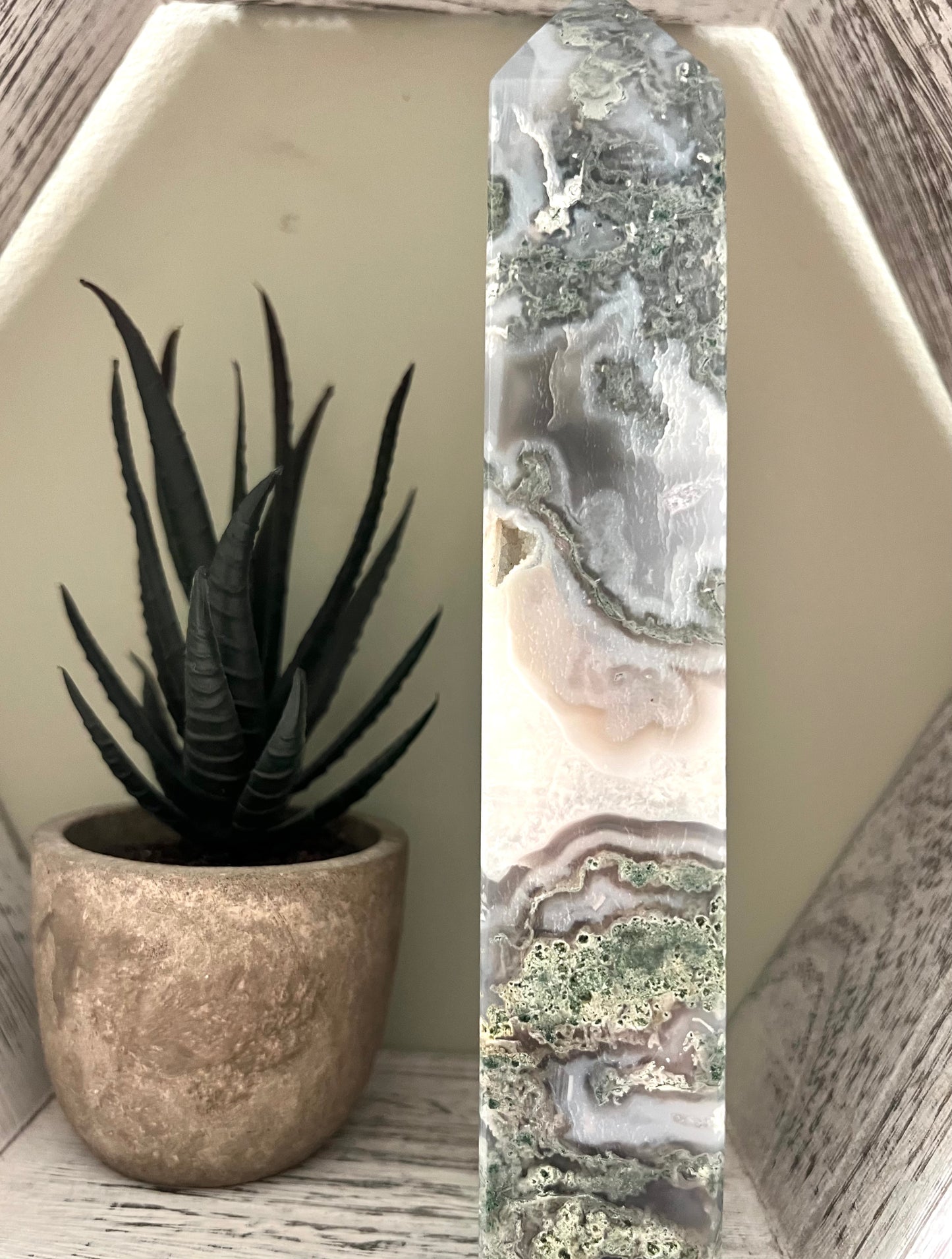 Succulent in a pot next to a patterned stone obelisk in a shelf.
