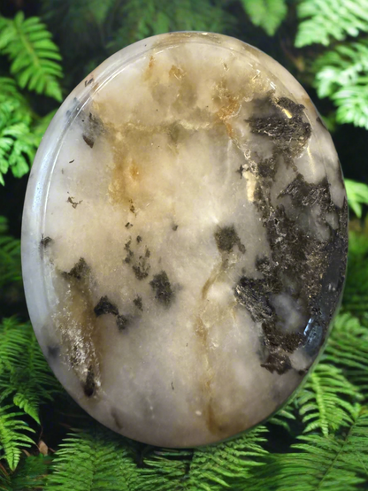 Polished moonstone sphere with black and brown inclusions, resting on green ferns.
