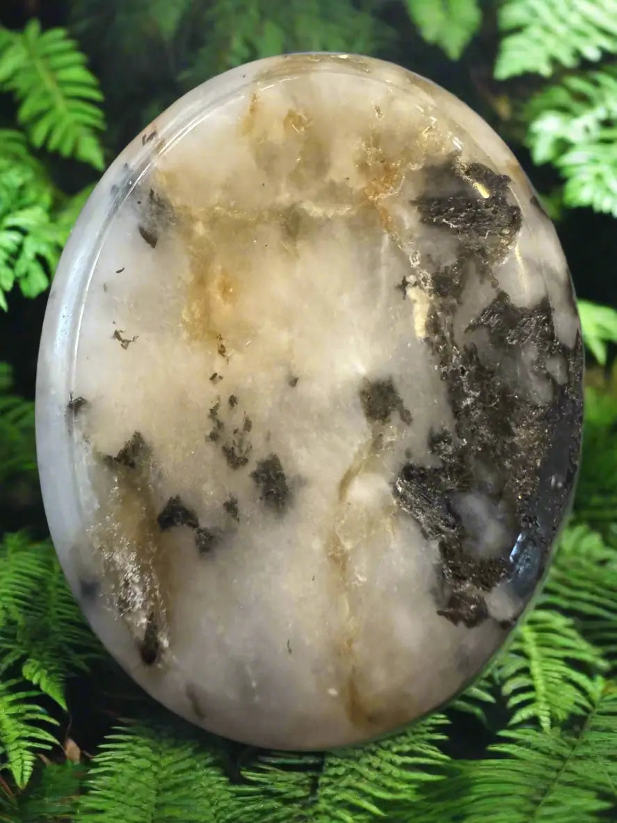 Polished moonstone sphere with black and brown inclusions, resting on green ferns.
