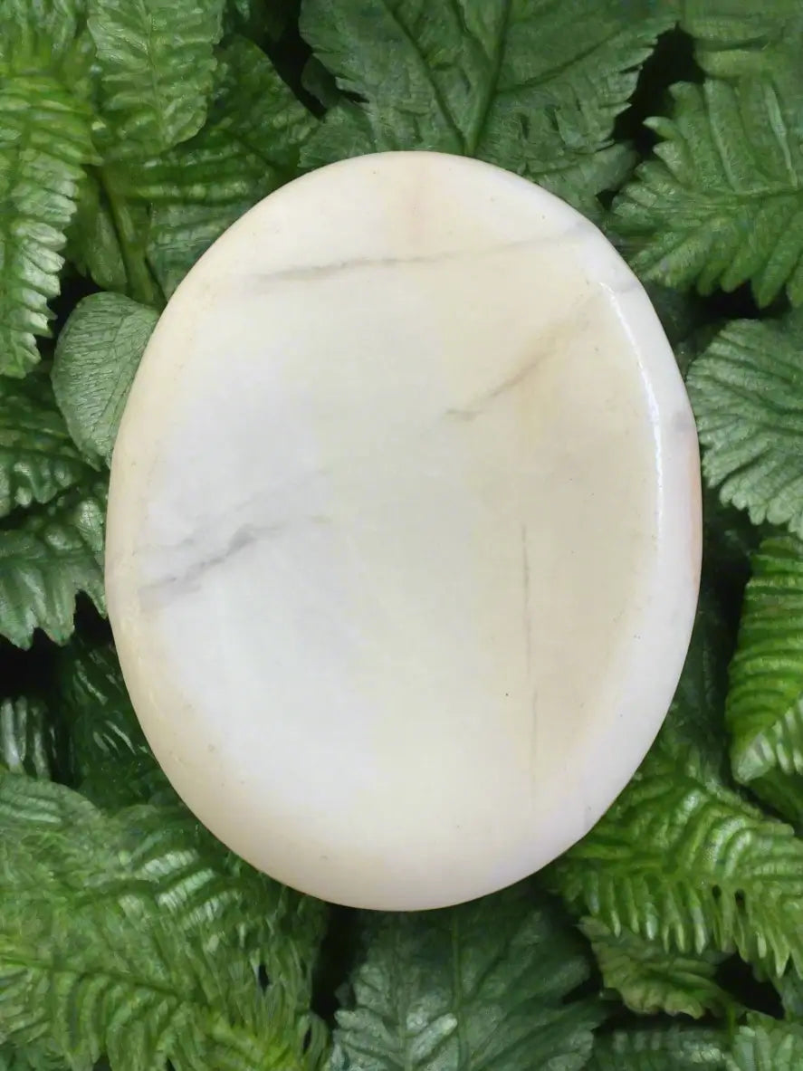 Round, white, veined stone on green ferns.
