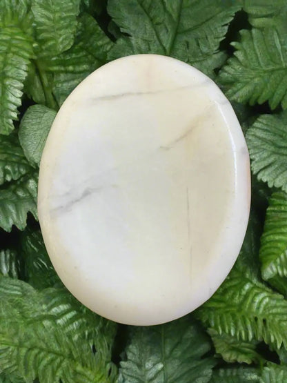 Round, white, veined stone on green ferns.

