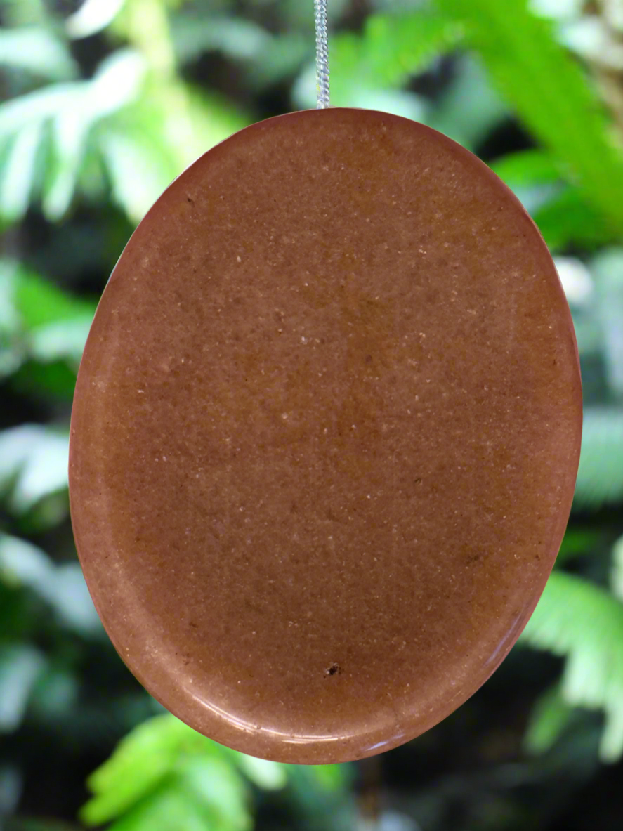 Brown, oval-shaped stone pendant hanging in front of green plants.