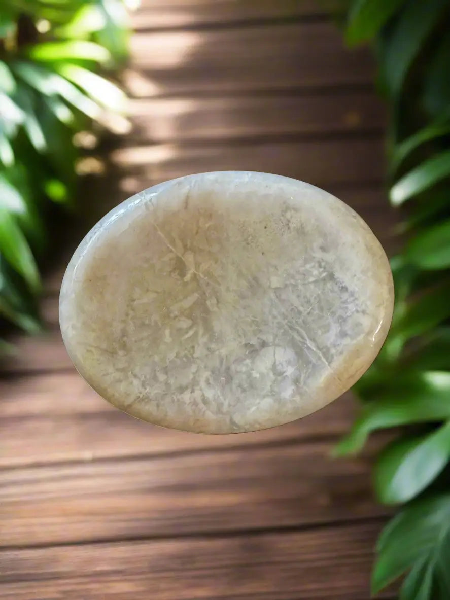 Oval, tan, and slightly shiny stone on a wooden surface with green plants in the background.

