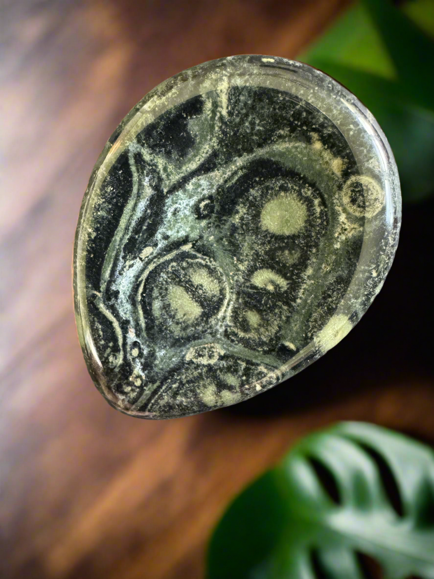 Polished green and black orbicular jasper palm stone against a blurred background of wood and a monstera leaf.