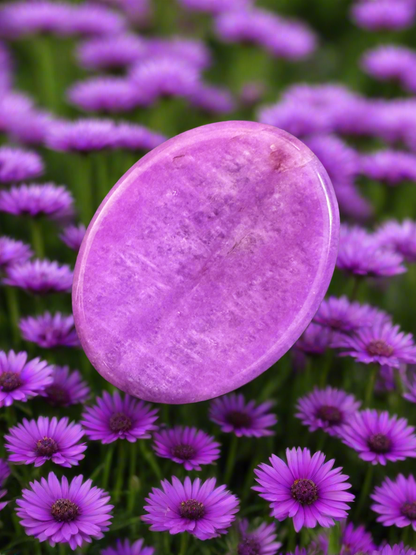 Oval purple stone in a field of purple flowers.