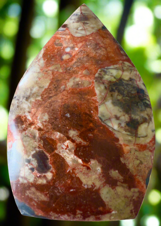 Brecciated Jasper TearDrop Freeform (A) - Main Street Crystals & Minerals