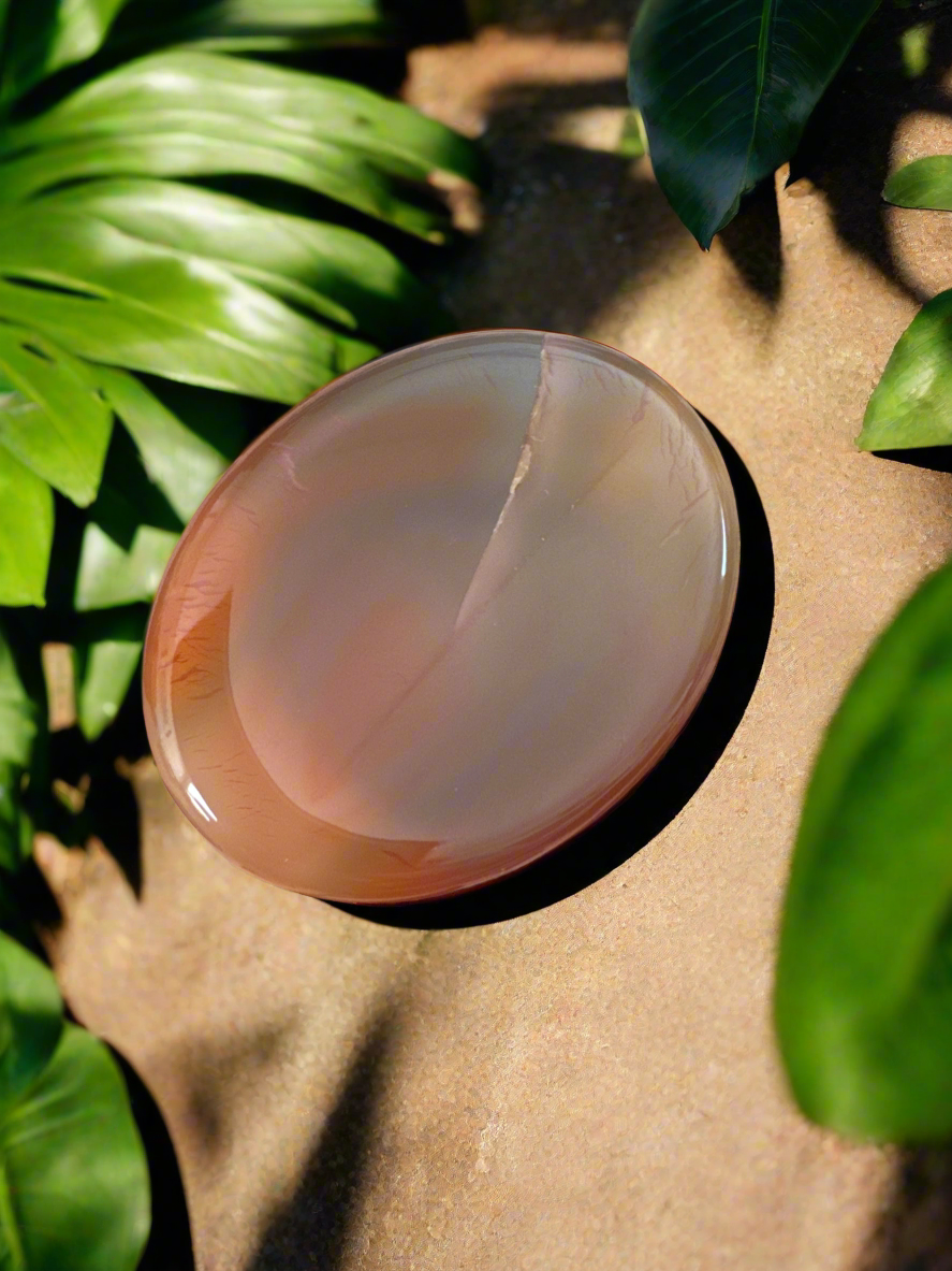 Oval agate stone on tan surface with green leaves.