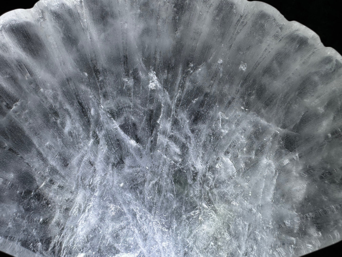 Clear Quartz Shell Bowl With Fluorite Shells and Aventurine Fish - Main Street Crystals & Minerals