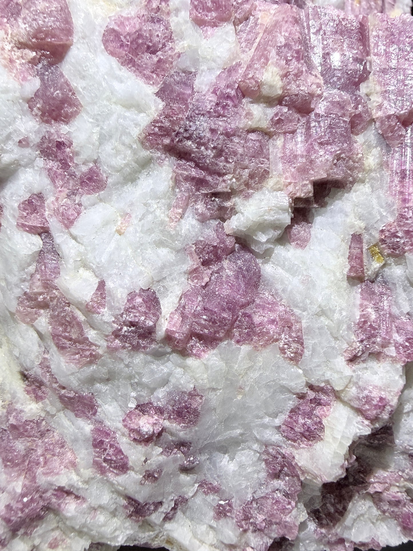 Close up of Elbaite Tourmaline Specimen, pink rubellite, verdelite, albite inclusions 