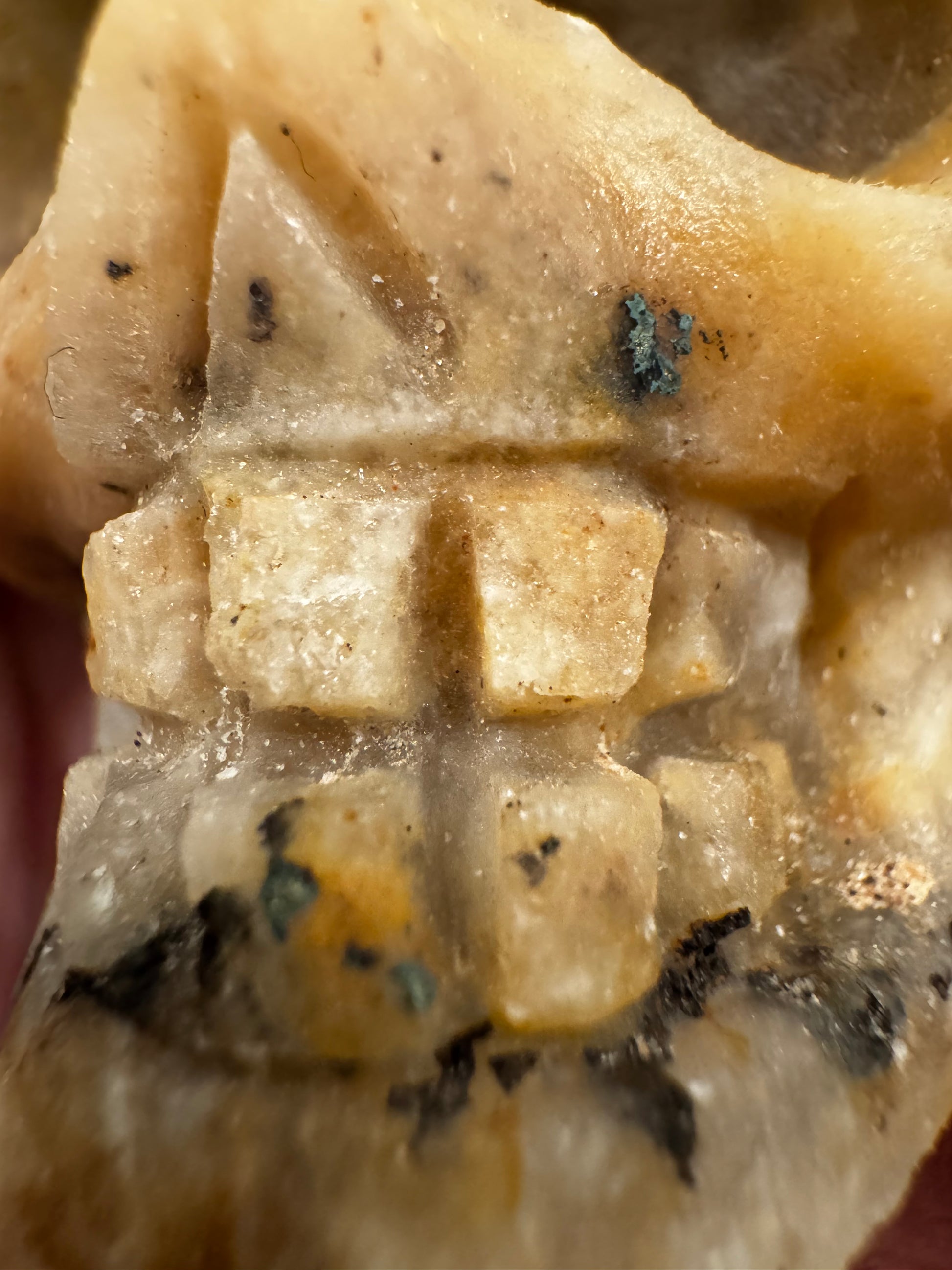 Close-up of carved stone skull with teeth and mineral inclusions.