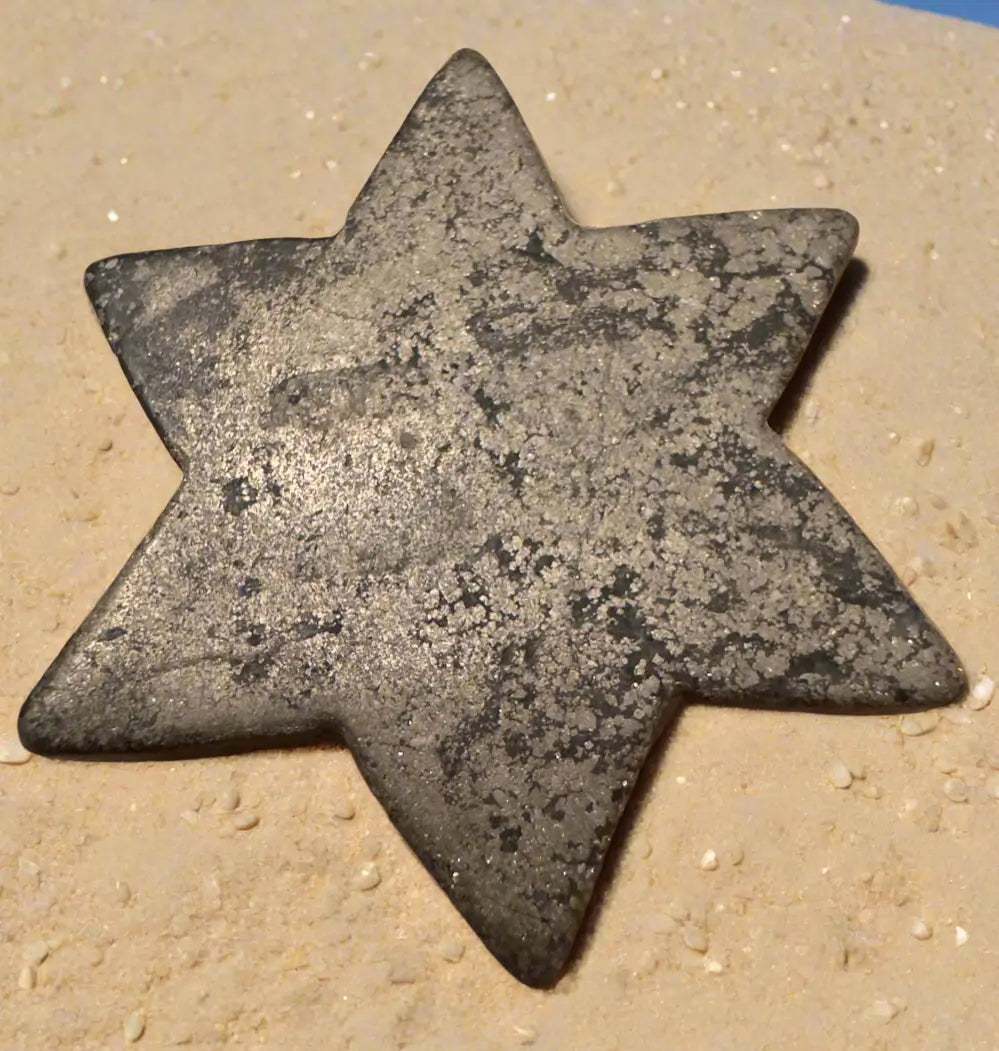 Gray, speckled, six-pointed star on sand.
