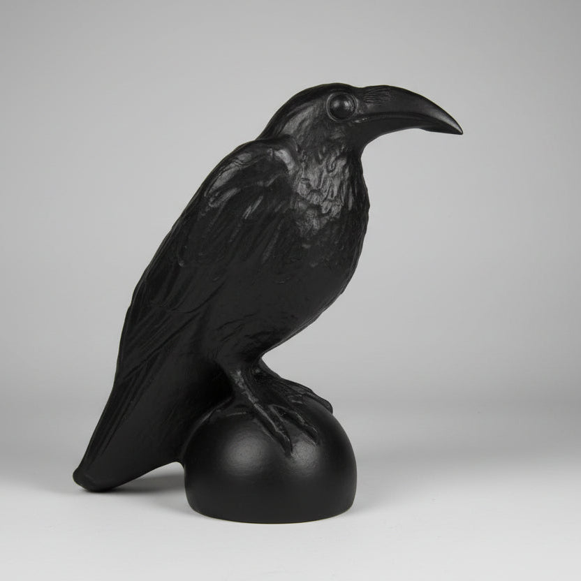 Black obsidian raven photo not enhanced