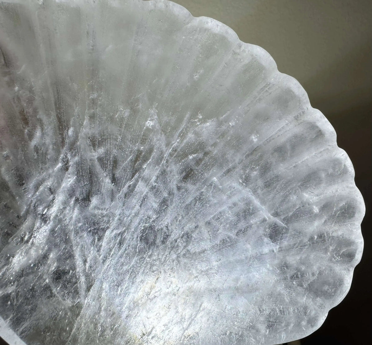 Close up product photo clear quartz carved bowl Sea Shell 