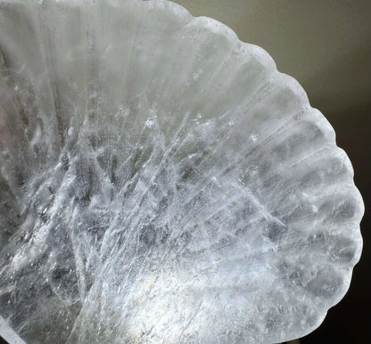 Close up product photo clear quartz carved bowl Sea Shell 