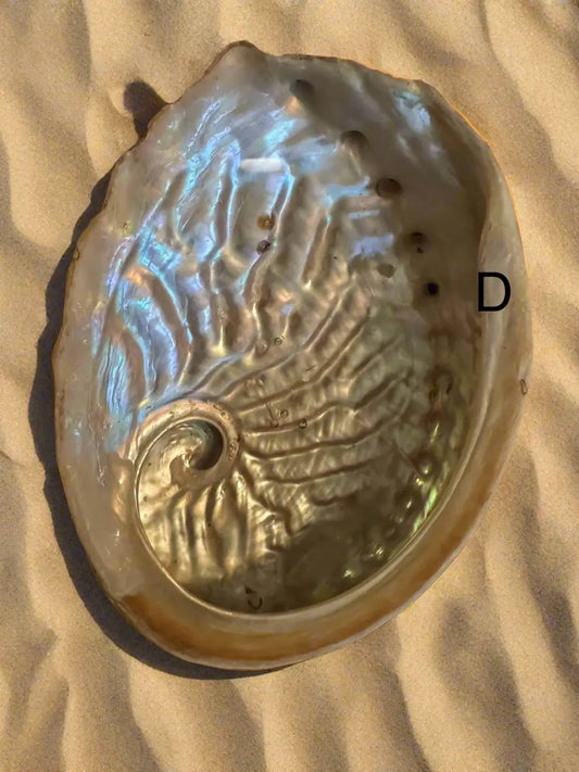 Abalone Shell smudging bowl for emotional healing and peace