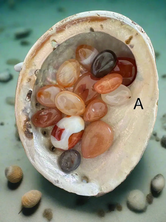 Abalone Shell smudging bowl for emotional balance and intuition