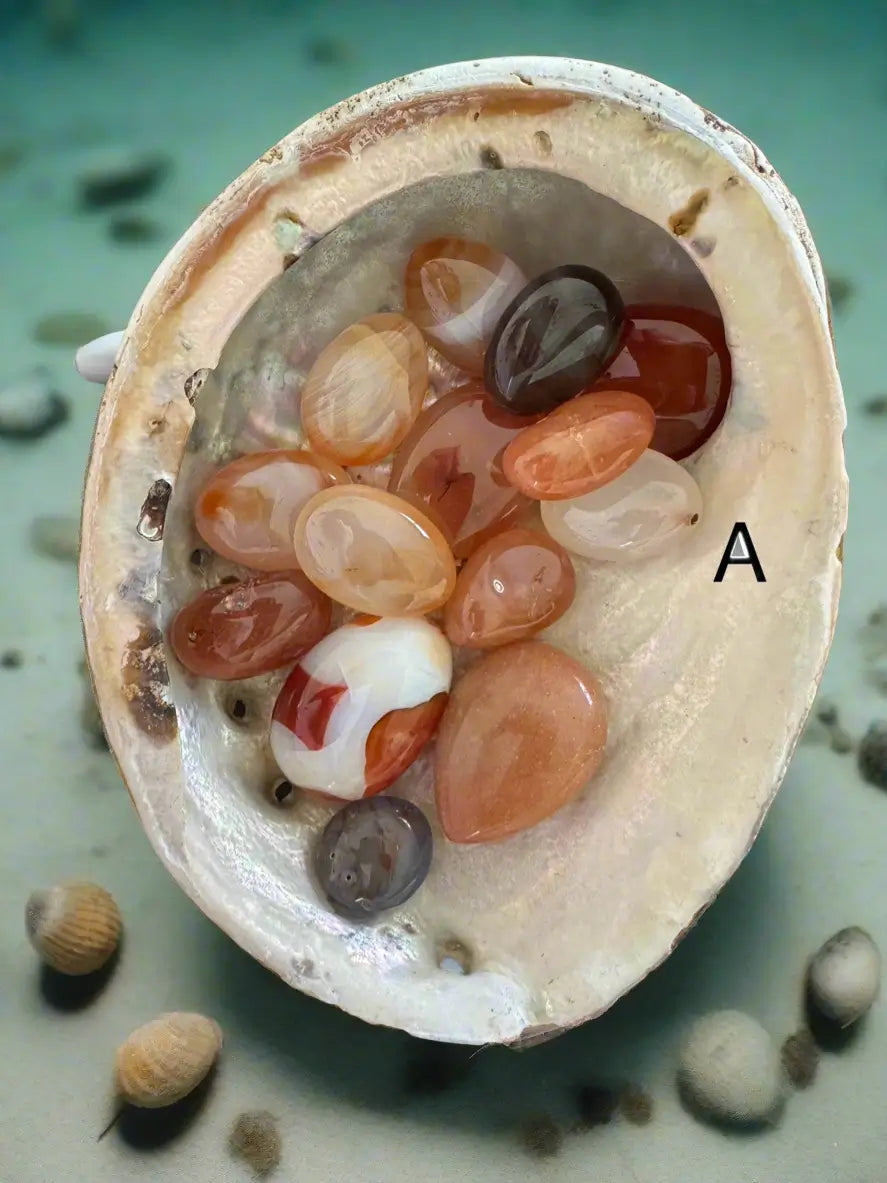 Abalone Shell smudging bowl for emotional balance and intuition