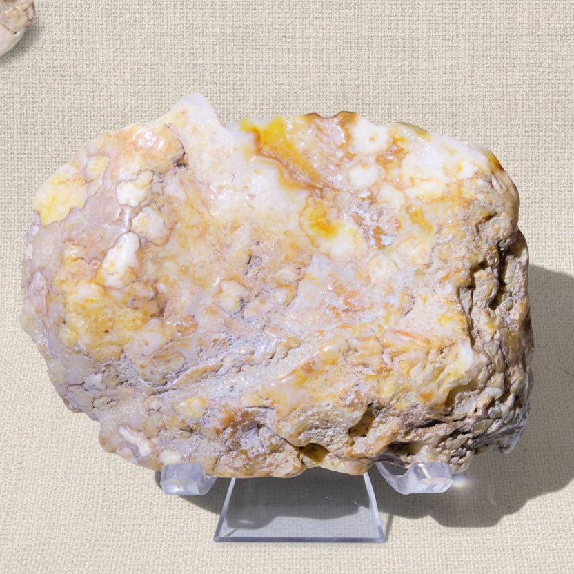 Close up photo of flower agate raw geode slice back side host rock