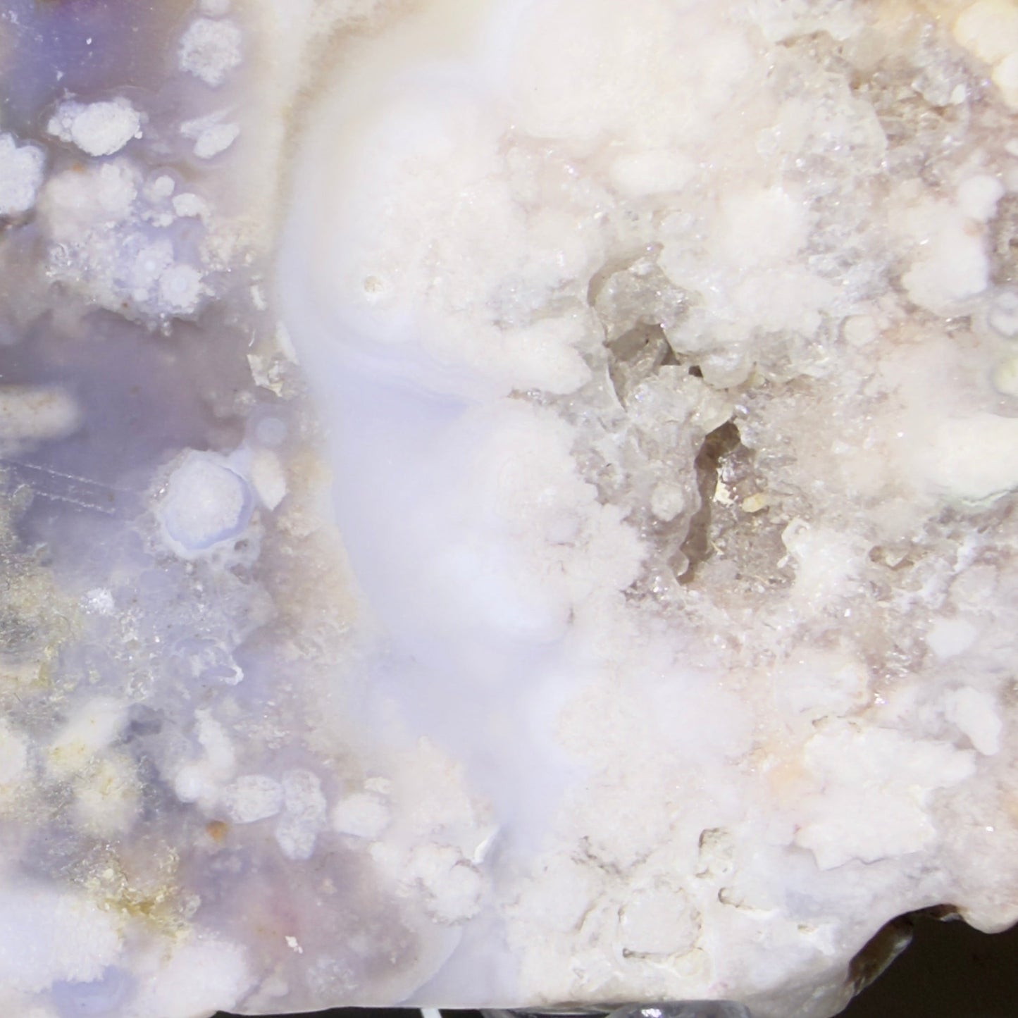 A close-up of a polished flower agate geode slice showing white and pale lavender-purple crystalline formations with a textured, bubbly interior.