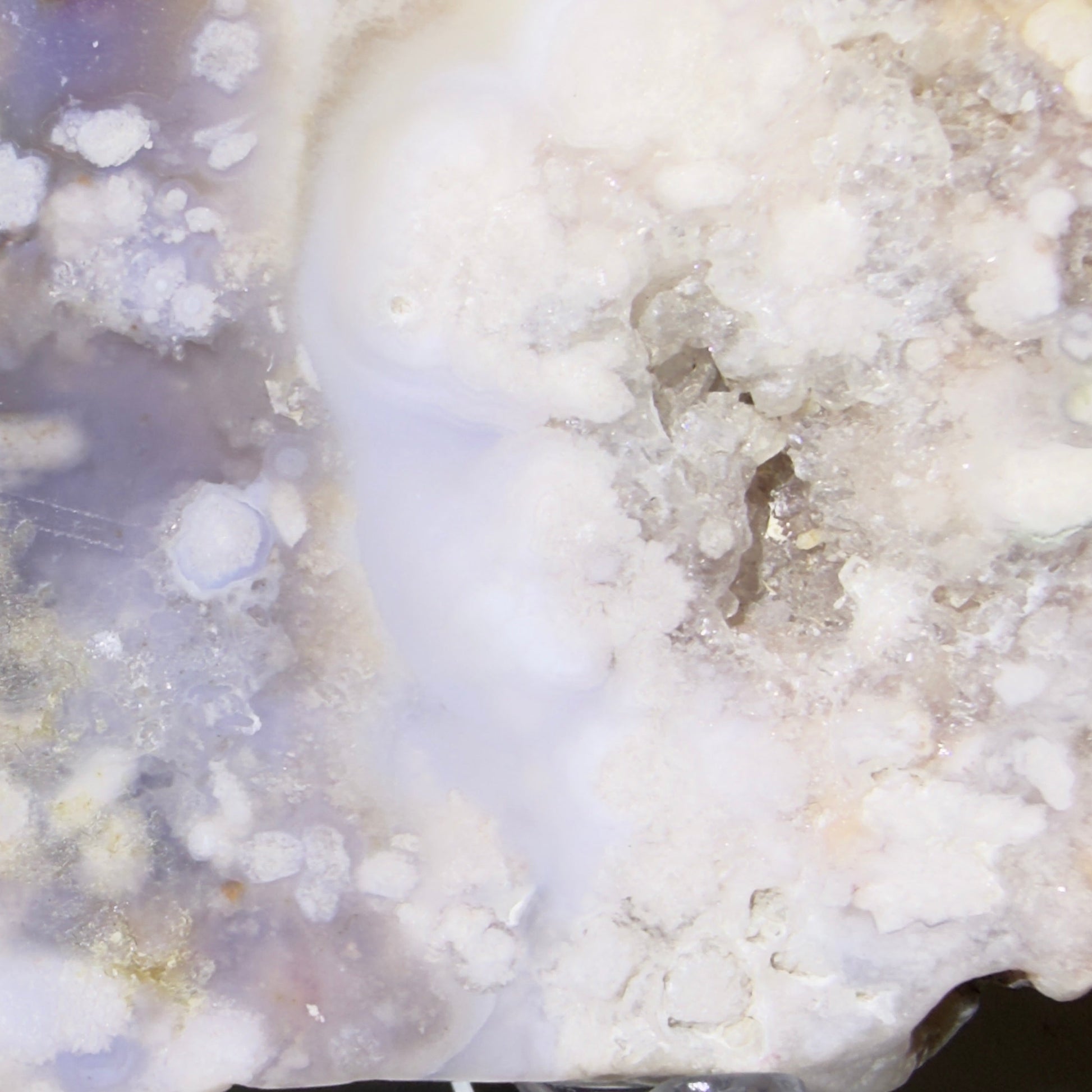 A close-up of a polished flower agate geode slice showing white and pale lavender-purple crystalline formations with a textured, bubbly interior.