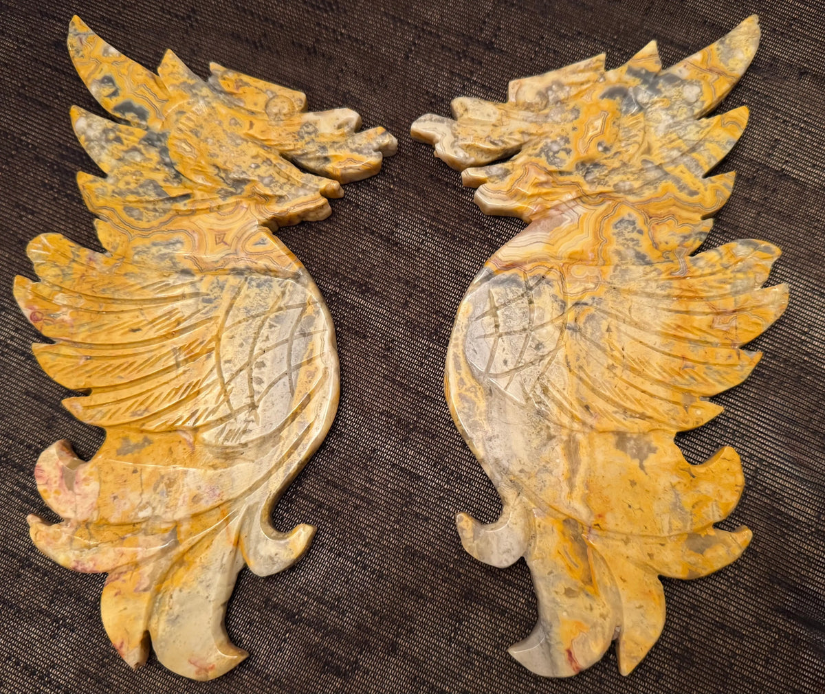 Crazy Lace Agate dragon wing carving side view