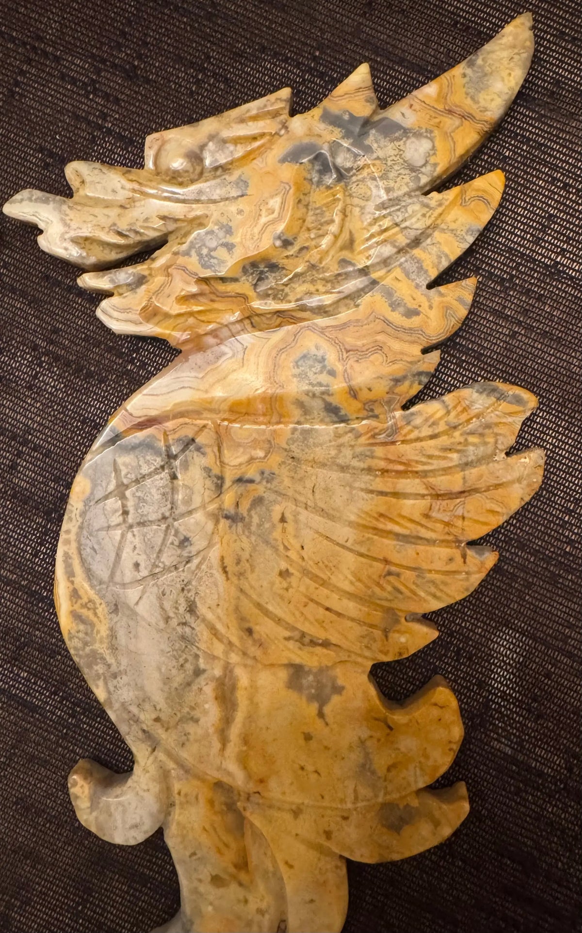 Crazy Lace Agate dragon wing carvings on display stand