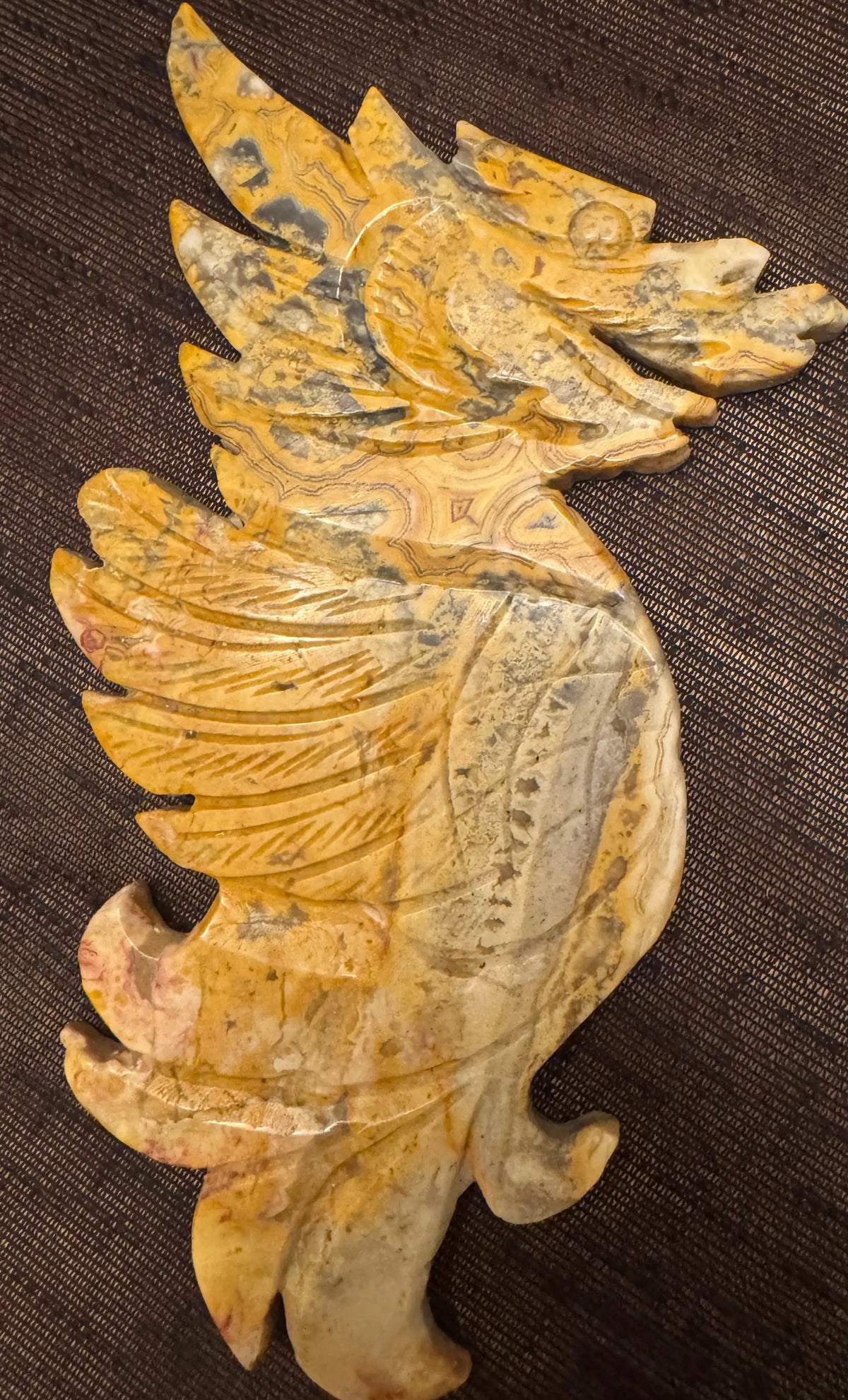Crazy Lace Agate dragon wing pair with carved banding
