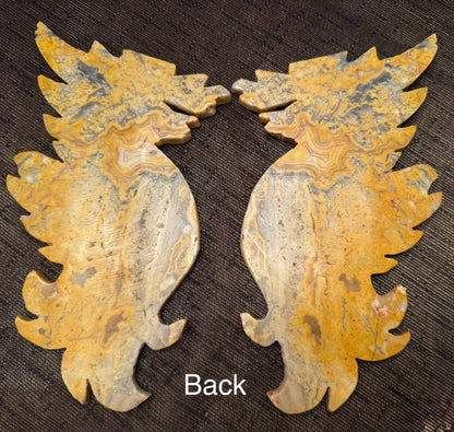 Crazy Lace Agate Dragon Wings - Main Street Crystals & Minerals