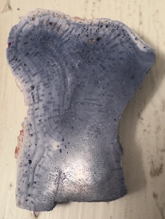 Natural Blue Ridge Coral slab C front view