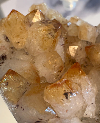 IMG-1863 - Main Street Crystals & Minerals